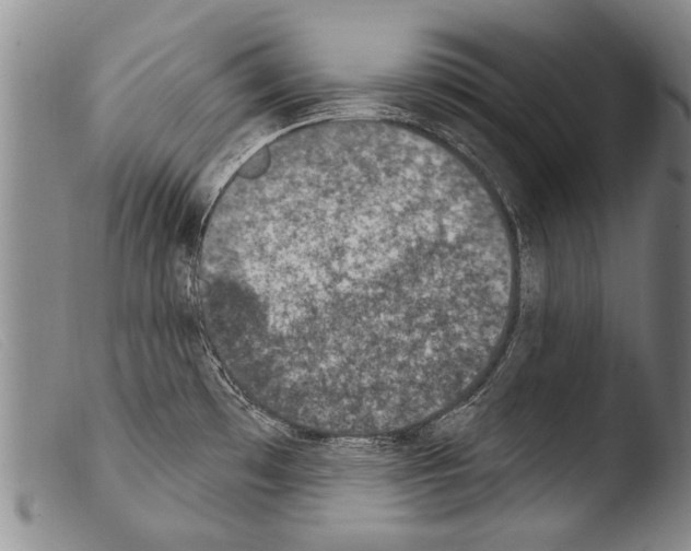 X0000103951481200810311537