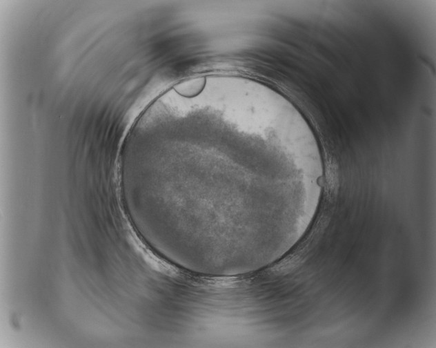 X0000103951482200810311537