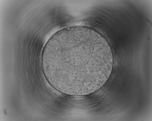 X0000103951483200810311537
