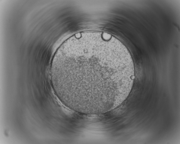 X0000103951485200810311537
