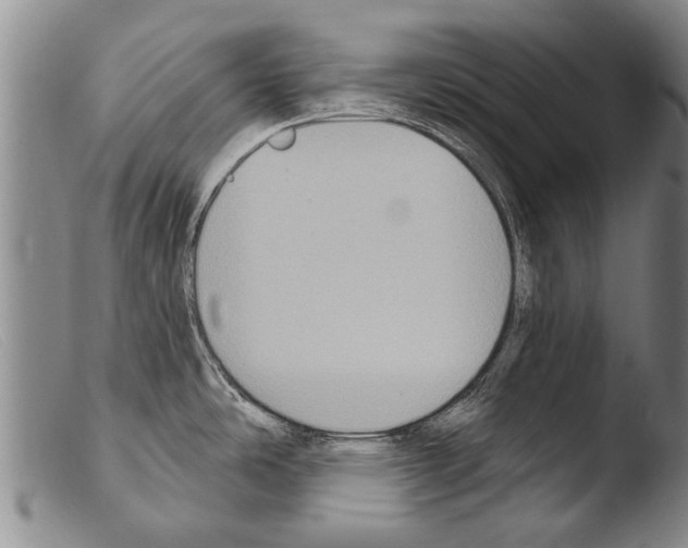 X0000103951486200810311537