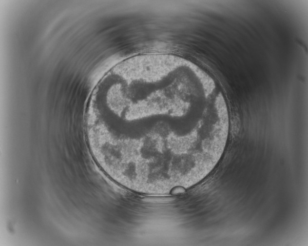 X0000103951487200810311537