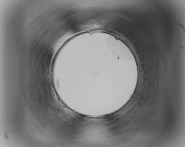 X0000103951488200810311537
