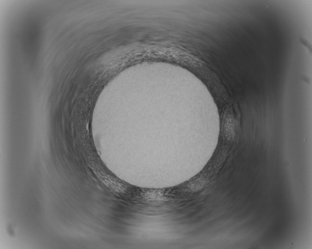 X0000103951489200810311536