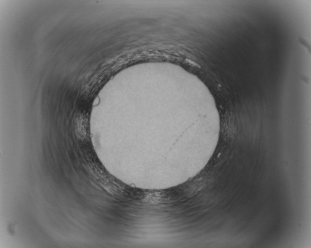 X0000103951490200810311536