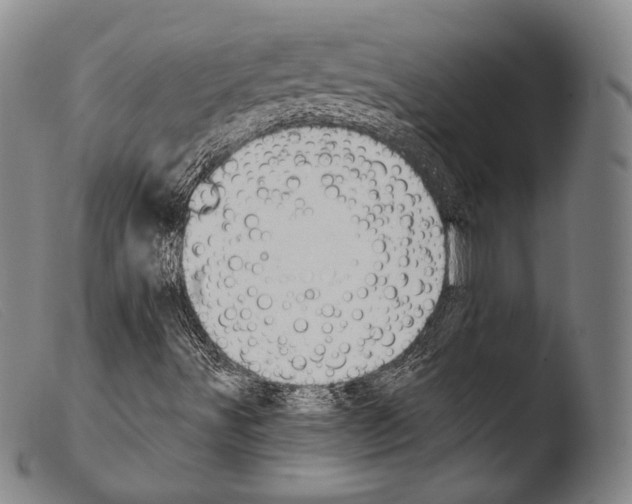 X0000103951491200810311536