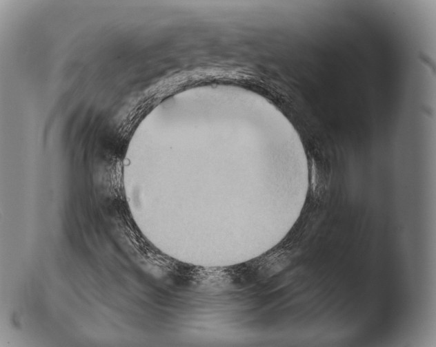 X0000103951492200810311536