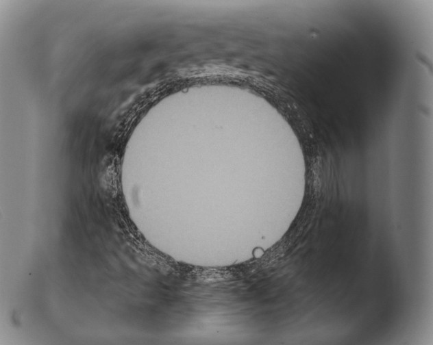 X0000103951493200810311536