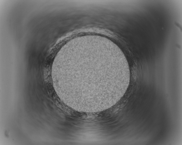 X0000103951494200810311536