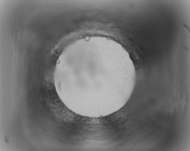 X0000103951495200810311536