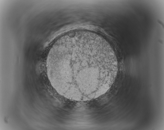 X0000103951496200810311536