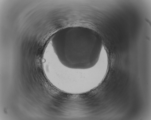 X0000103951497200810311536
