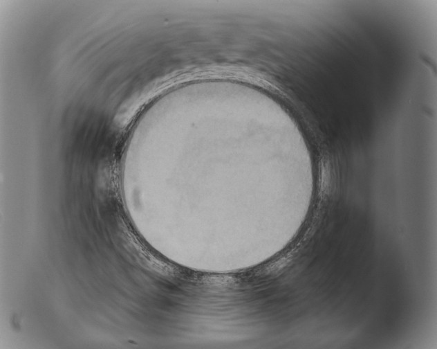 X0000103951498200810311536