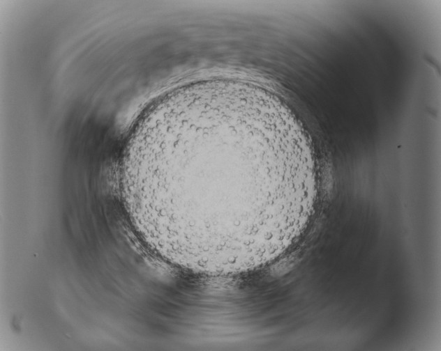 X0000103951499200810311536