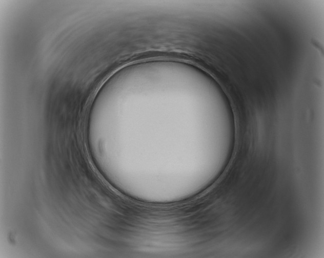 X0000103951500200810311536