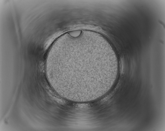 X0000103951501200810311536