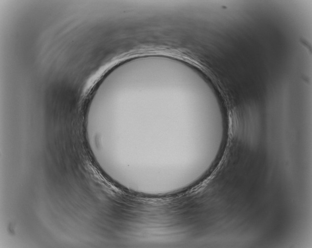 X0000103951502200810311536