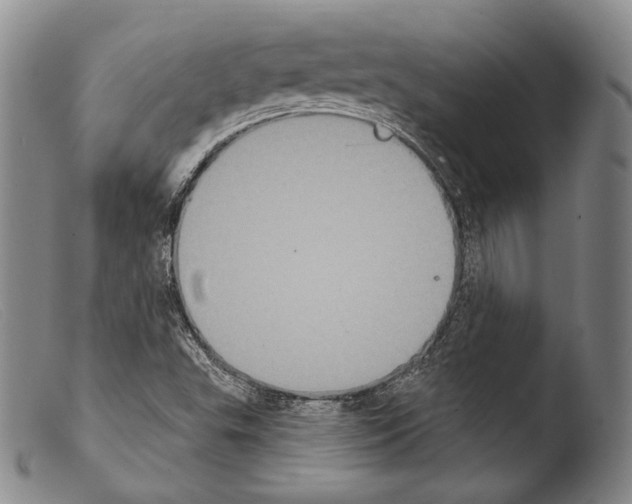 X0000103951503200810311536