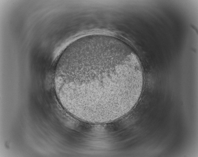 X0000103951504200810311536