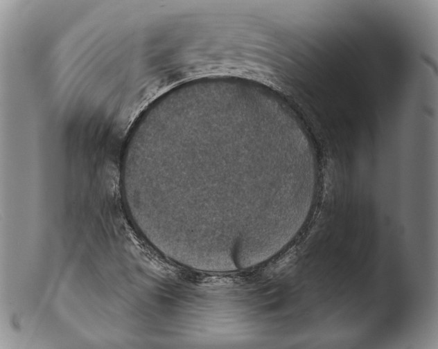 X0000103951505200810311537