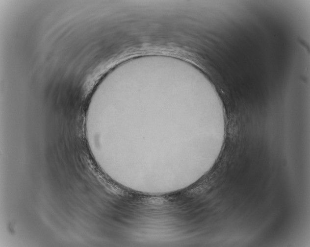 X0000103951507200810311537