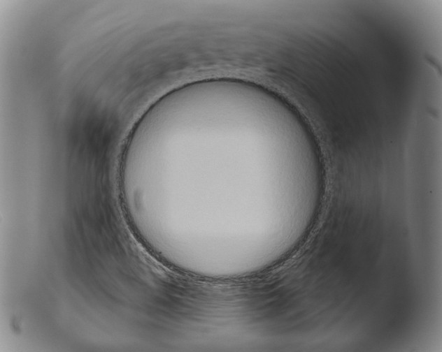 X0000103951508200810311537