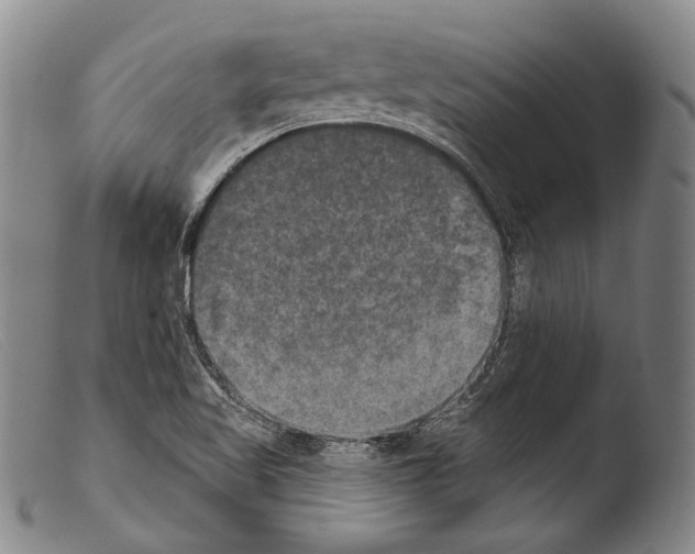 X0000103951509200810311537