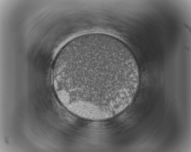 X0000103951510200810311537