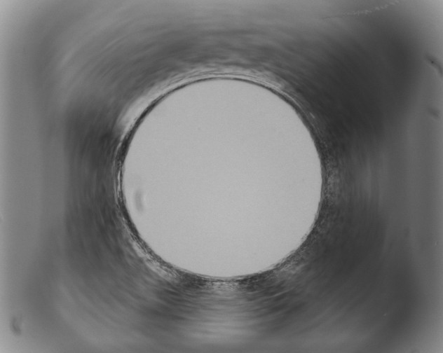 X0000103951511200810311537
