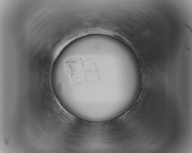 X0000103951512200810311537