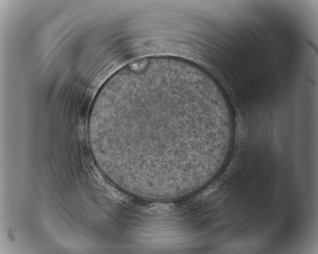 X0000103951513200810311537