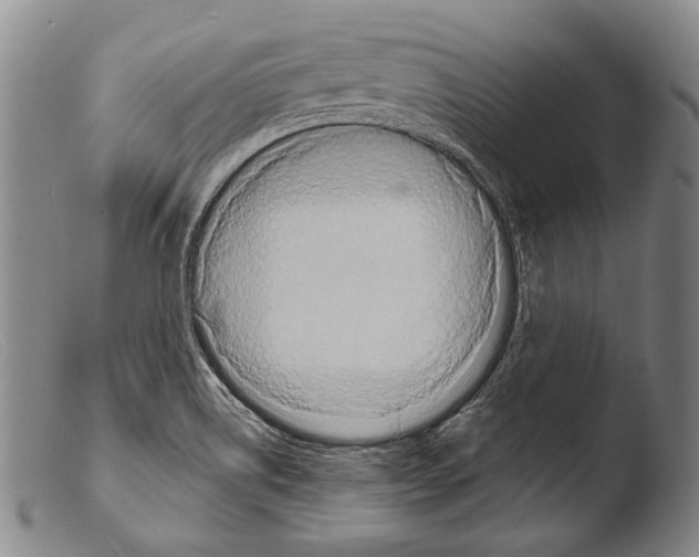 X0000103951514200810311537