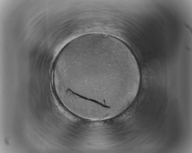 X0000103951515200810311537
