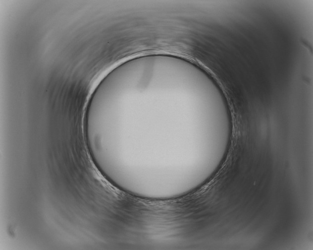 X0000103951516200810311537