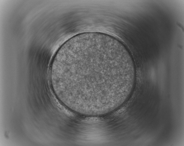 X0000103951517200810311537