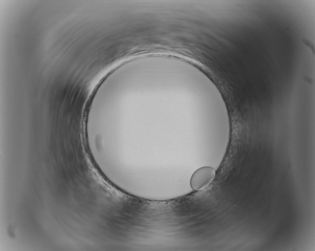 X0000103951518200810311537