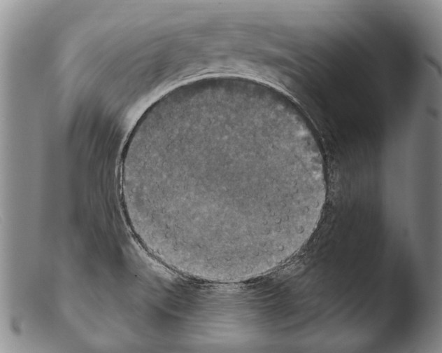 X0000103951519200810311537