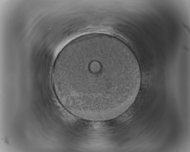 X0000103951520200810311537