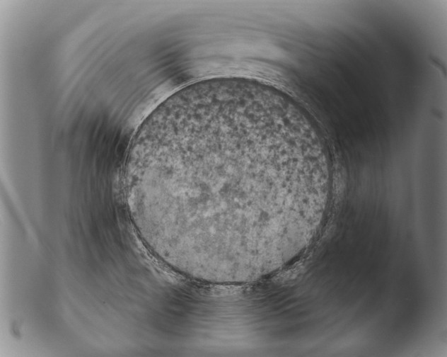 X0000103951521200810311537