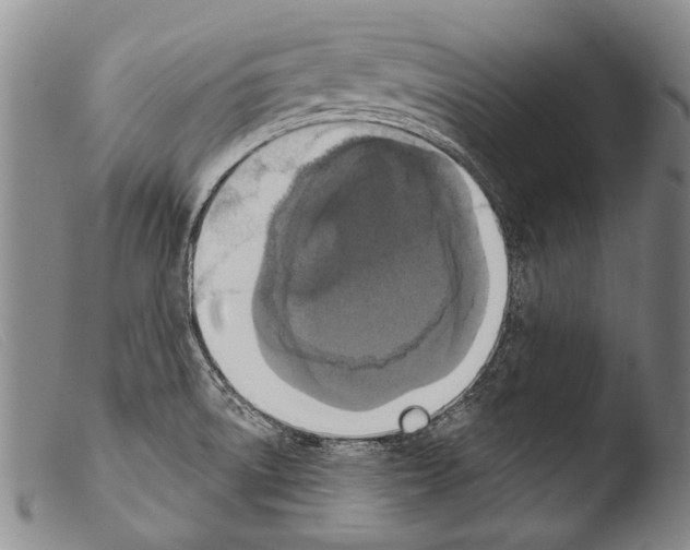 X0000103951522200810311537