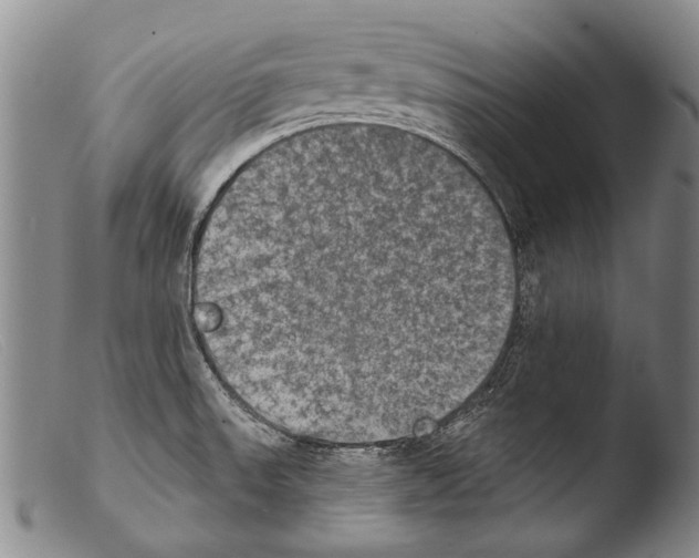 X0000103951523200810311537