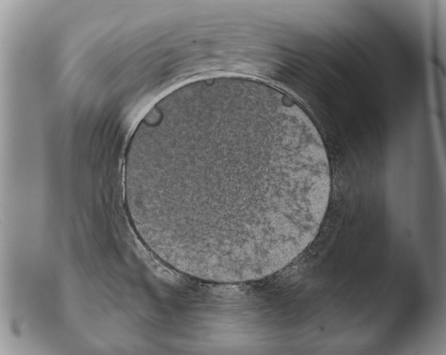 X0000103951524200810311537