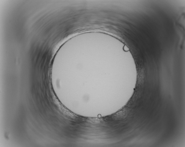X0000103951526200810311537