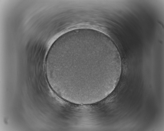 X0000103951527200810311537
