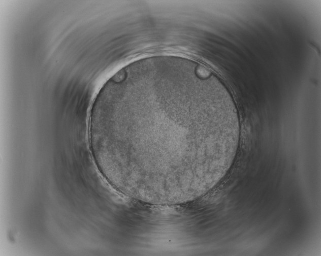 X0000103951528200810311537
