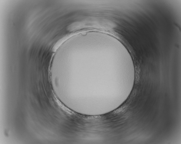 X0000103951535200810311537