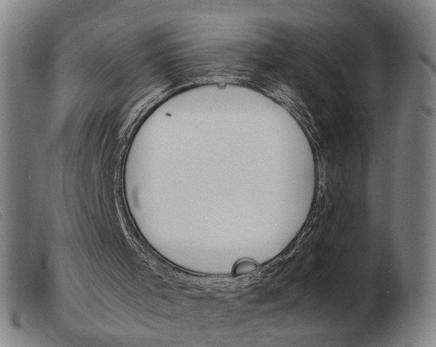 X0000103960001200809191345