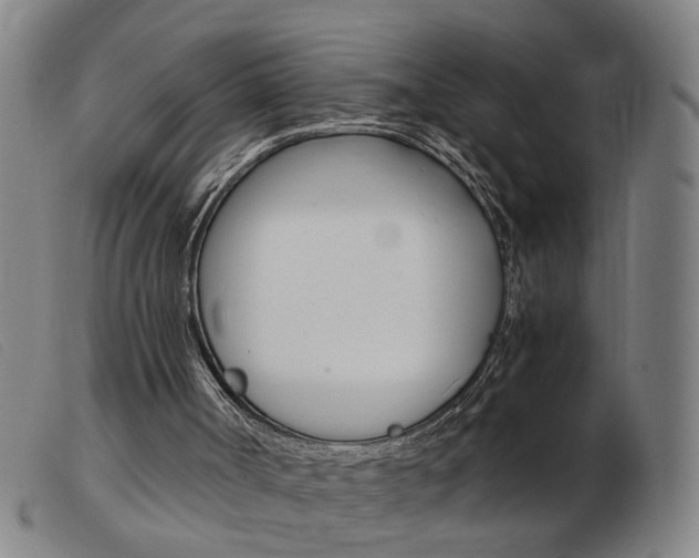 X0000103960002200809191345