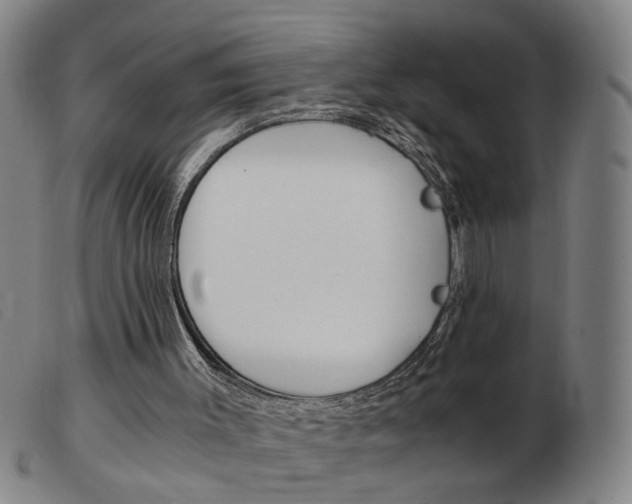 X0000103960003200809191345