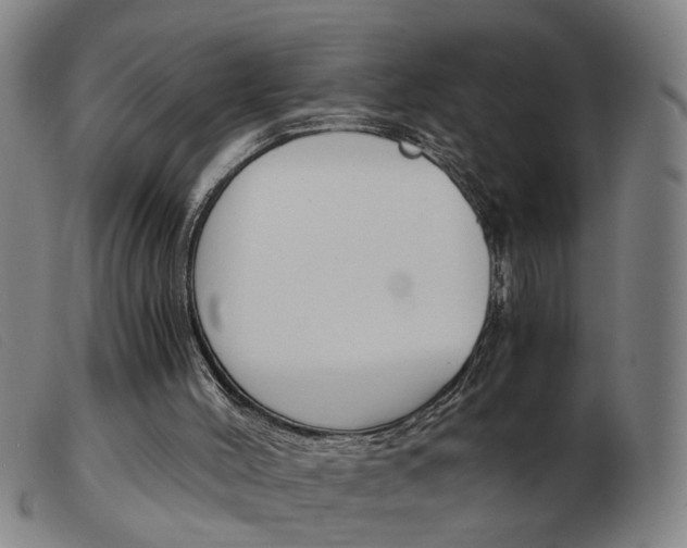 X0000103960004200809191345